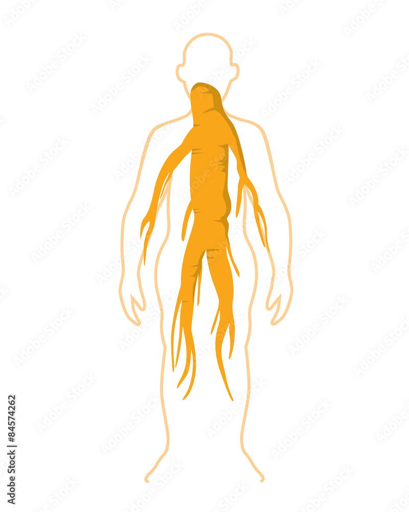 Ginseng Ginseng