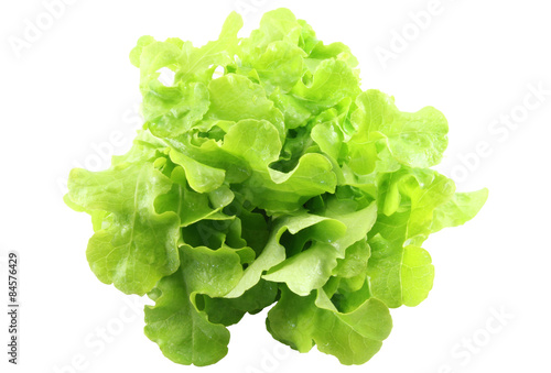 Lettuce ( cut image)