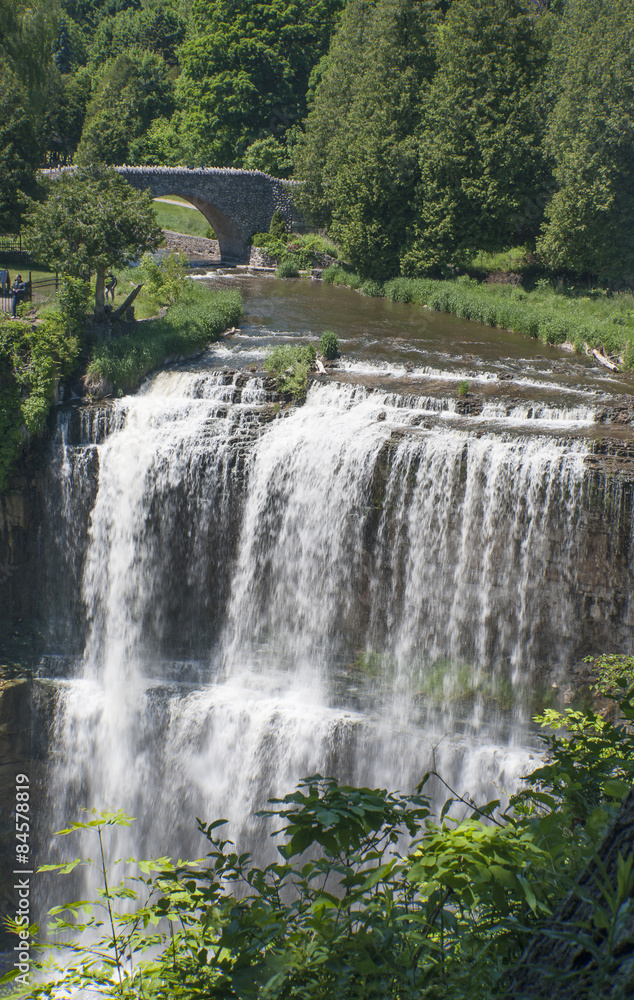 Fototapeta premium Webster's Falls Conservation Area in Hamilton