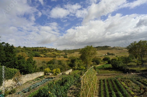 Potager sur paysage de Lautrec (81440), département du Tarn en région Occitanie, France photo