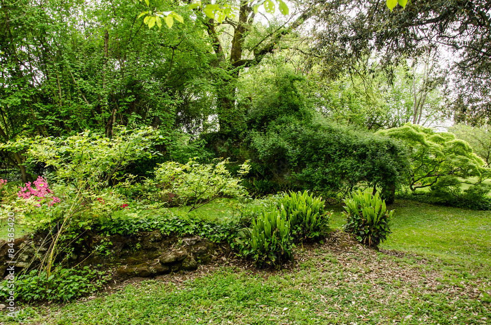 Fototapeta premium giardini