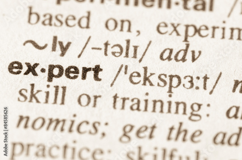 Dictionary definition of word expert