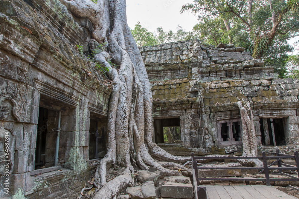 Ta Prohm, Angkor Wat, Kambodscha, Tempel, Siem Reap Ta Prohm, Angkor Wat, Kambodscha, Tempel, Siem Reap