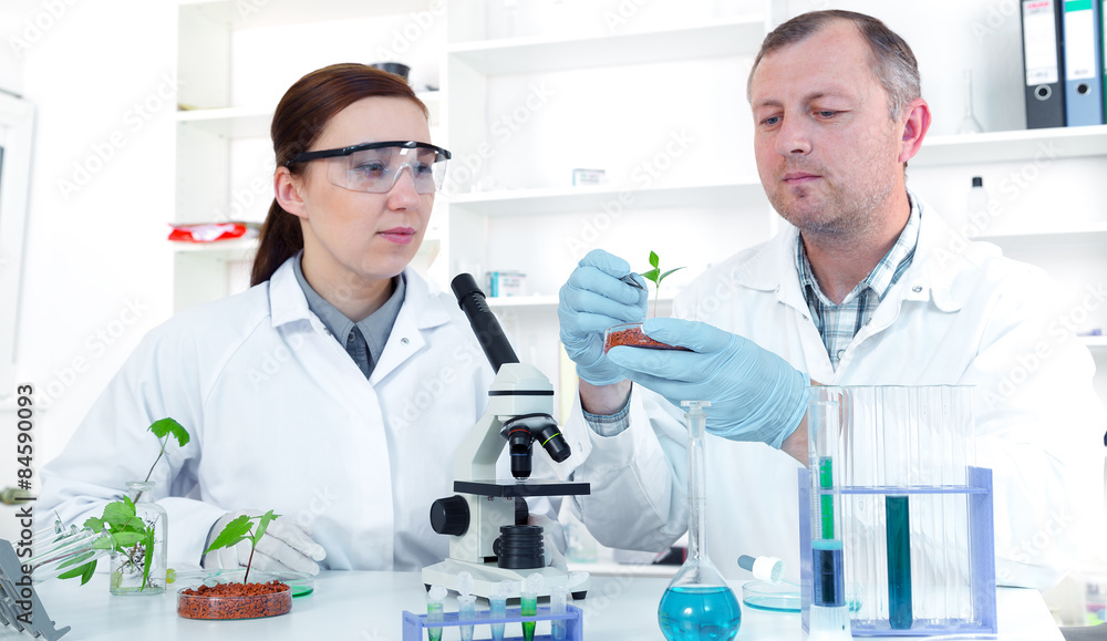 Fototapeta premium Team of scientists in a laboratory working on chemical testing