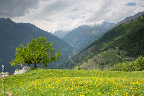 View of Val Senales (Italy)