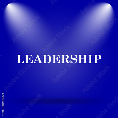 Leadership icon