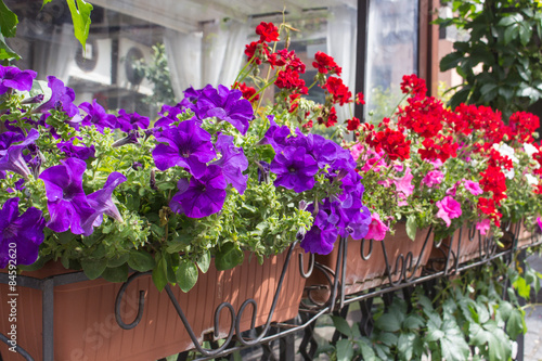 Fototapeta Naklejka Na Ścianę i Meble -  Balcony flower boxes filled with flowers