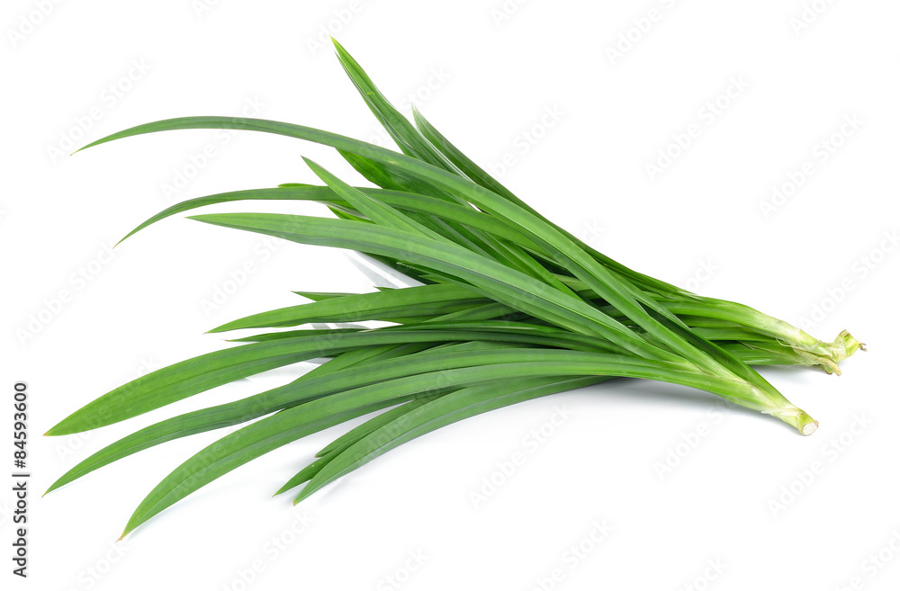Fototapeta premium Fresh Pandan leaves isolated on white background