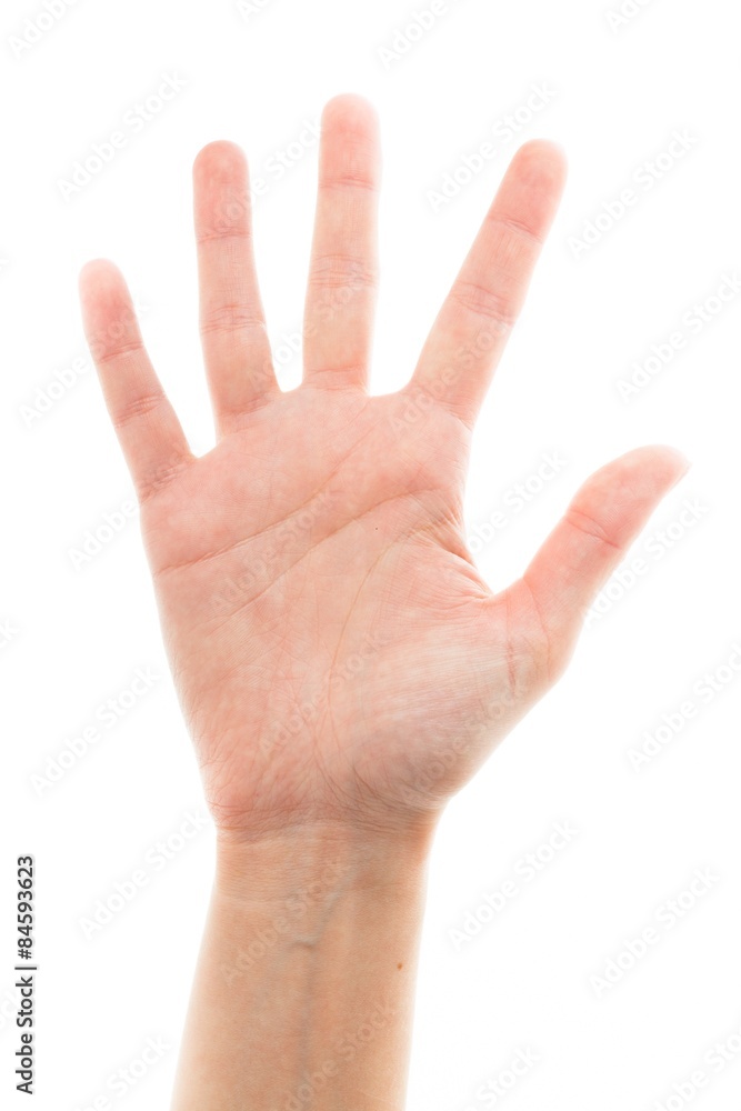 Human Hand, Counting, Human Finger. Human Hand, Counting, Human Finger.