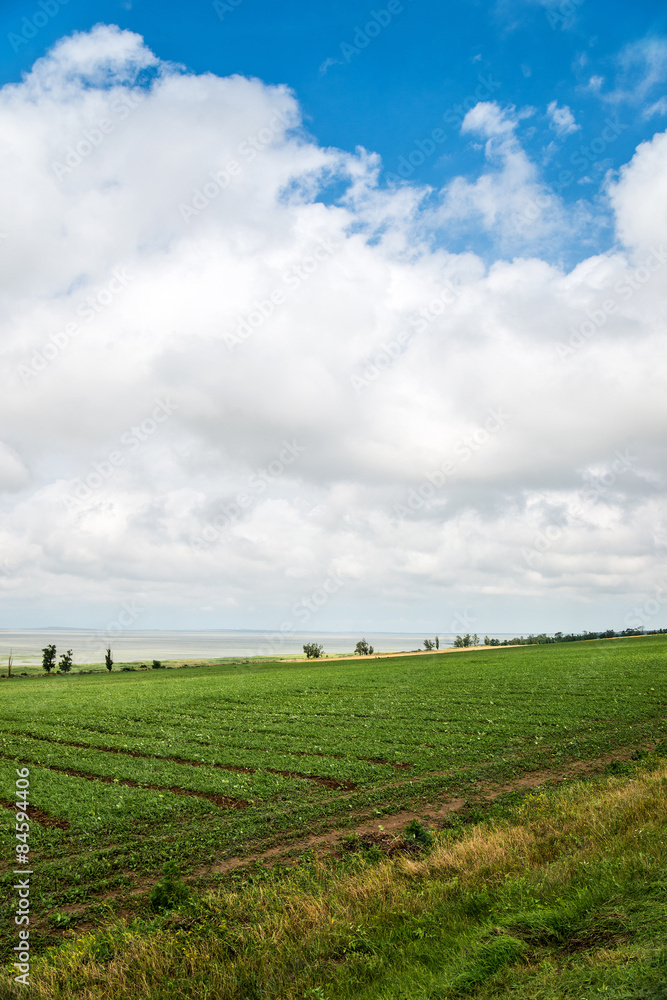 beautiful southern landscape with field and clouds