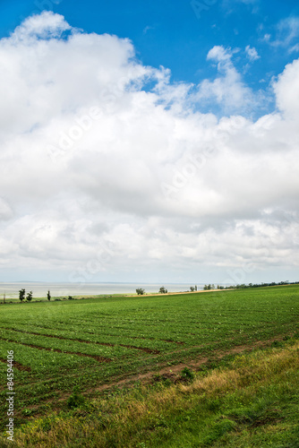 beautiful southern landscape with field and clouds