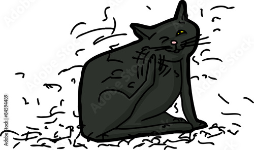 Messy Cat Shedding Hair