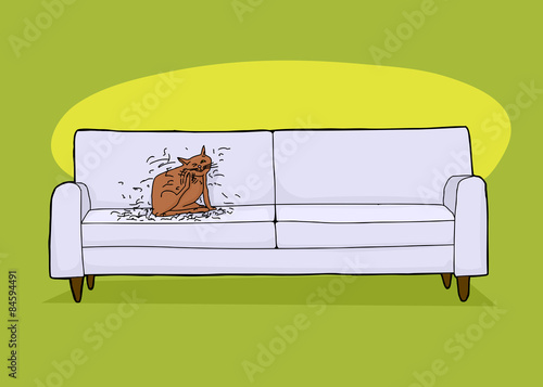 Messy Cat on Sofa