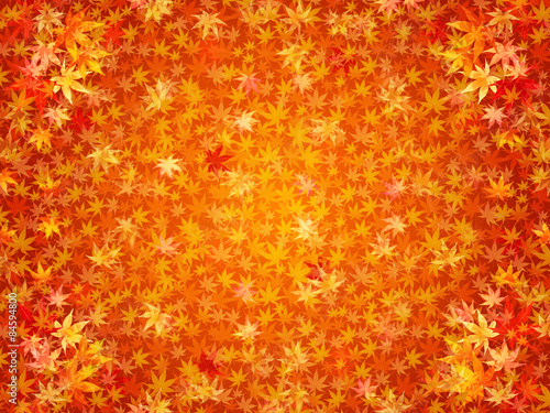 もみじ　紅葉　背景