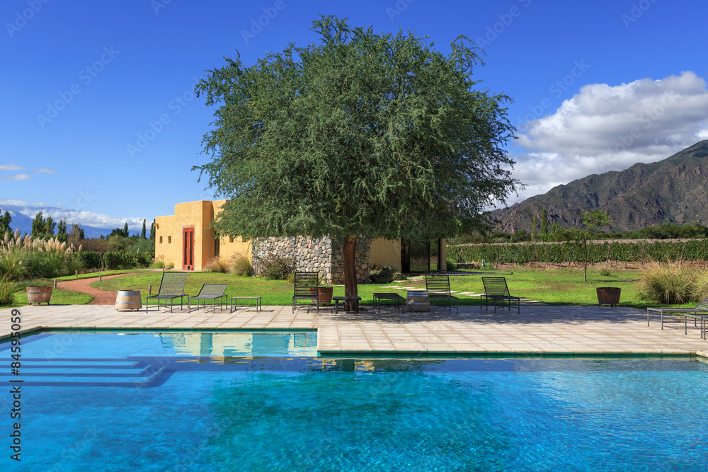 Swimming pool in the vineyard and in Cafayate, northern Argentin
