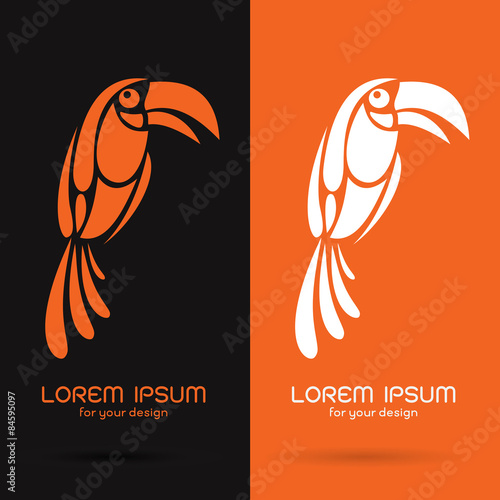 Vector image of an hornbill design on black background and orang