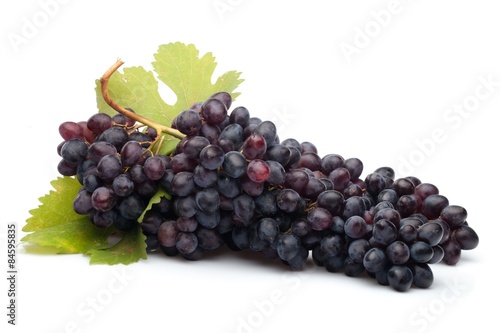 Grape, Vineyard, Vine.