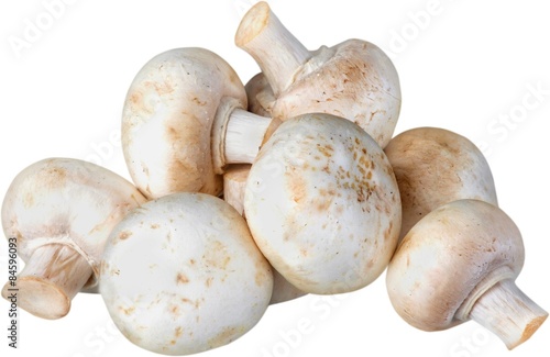 Mushroom, Edible Mushroom, White Mushroom.