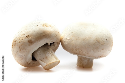 Mushroom, Edible Mushroom, Isolated.
