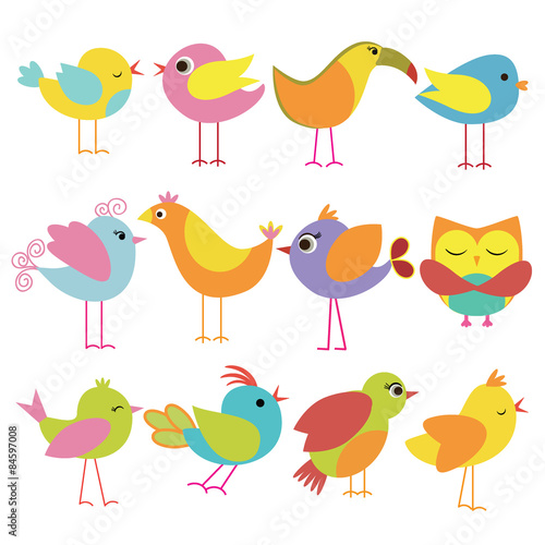 Cute and Colorful Beautiful Bird collection set
