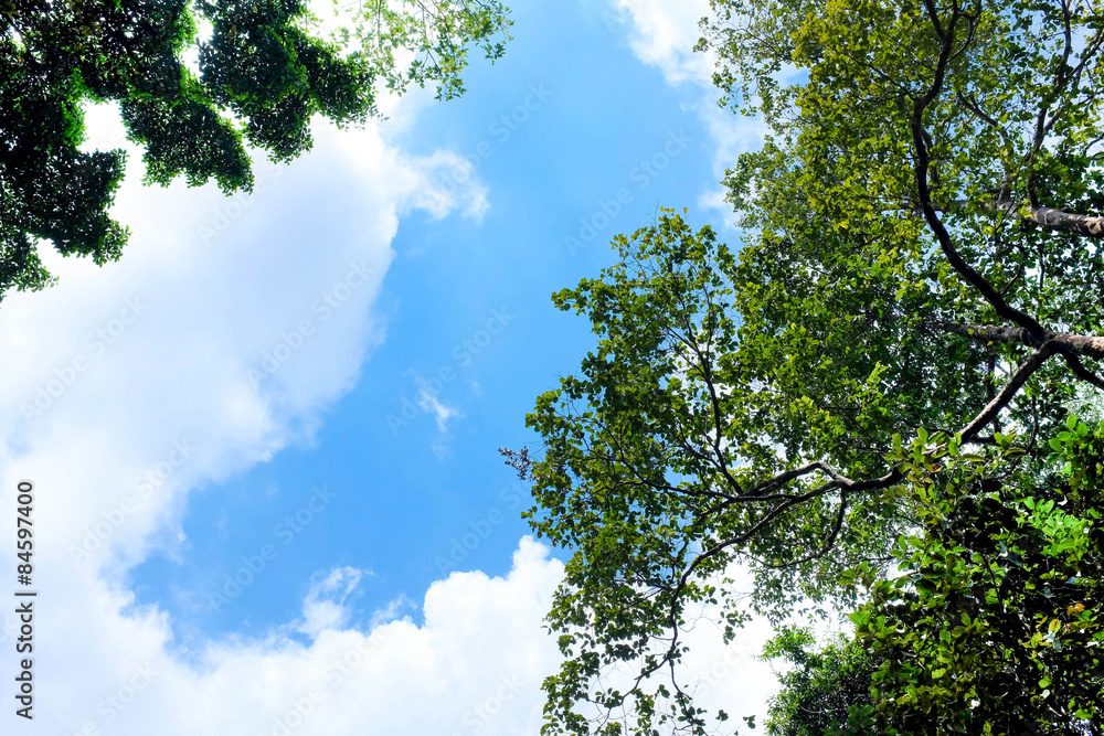 Fototapeta premium Beautiful scene at the mountain