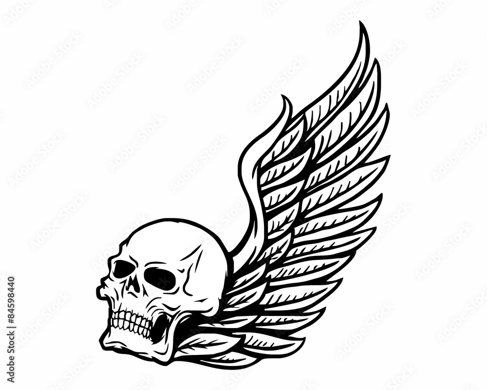 Fototapeta premium skeleton bone skull fly