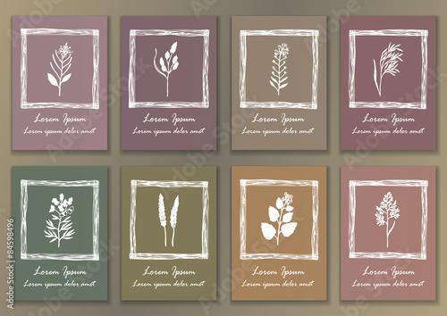 Set Vintage Posters with hand drawn ink herbs