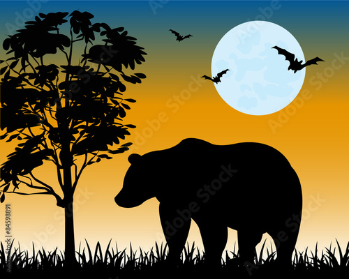 Silhouette bear on glade