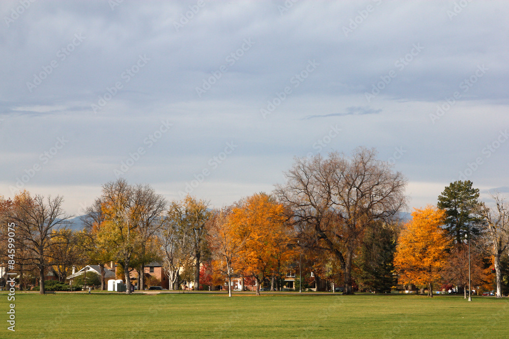 Autumn park Autumn park