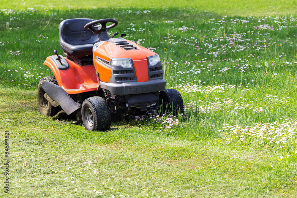 Obraz premium lawn mower in the garden