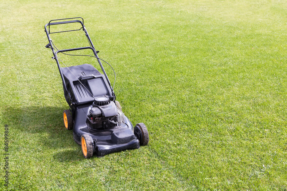 Fototapeta premium lawn mower in the garden