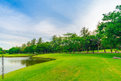 Green lawn with trees in park of bangkok city