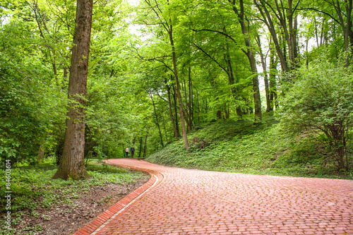 Image of red stone walkway in the park