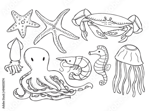 sea animal cartoon