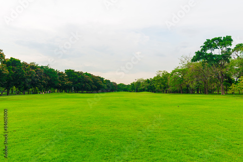 Green lawn with trees in park of bangkok city