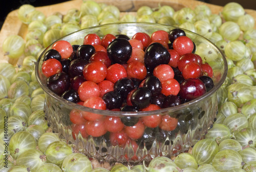 A bowl of red and black cherries surrounded by green gooseberries