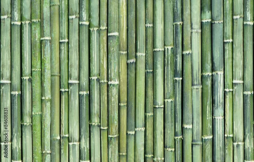 Obraz tło zielony płot bambusowy