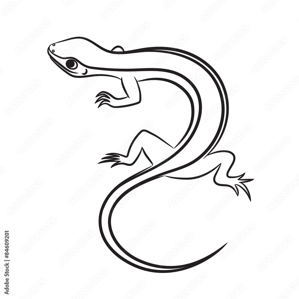 Naklejka premium Cartoon illustration of little lizard outlined. Vector illustration.