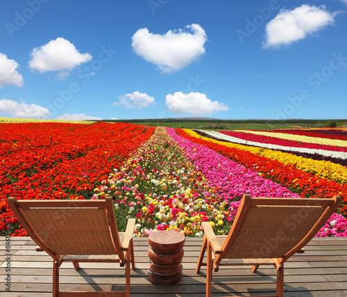 Fototapeta Naklejka Na Ścianę i Meble -  The lounge chairs on wooden platform