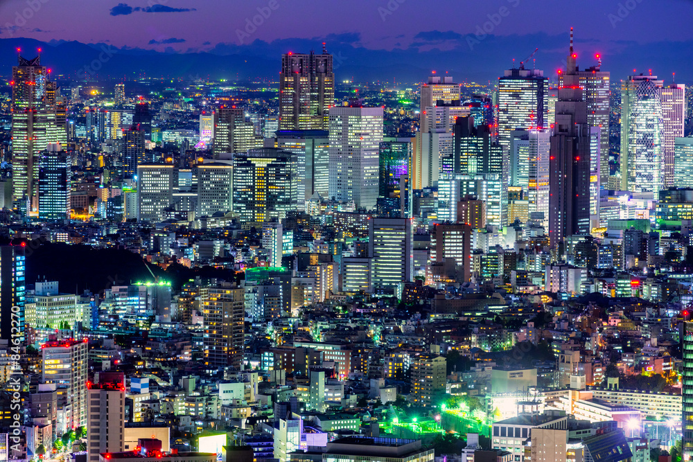 Obraz premium Tokyo skyline, Japan.