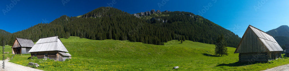 Obraz premium Chochołowska Valley - panorama