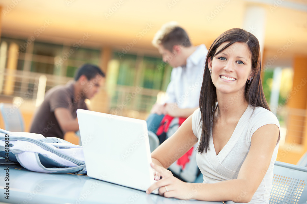 College: Smiling Female Student Studying Outdoors With Laptop College: Smiling Female Student Studying Outdoors With Laptop