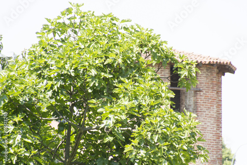 Photos legnano