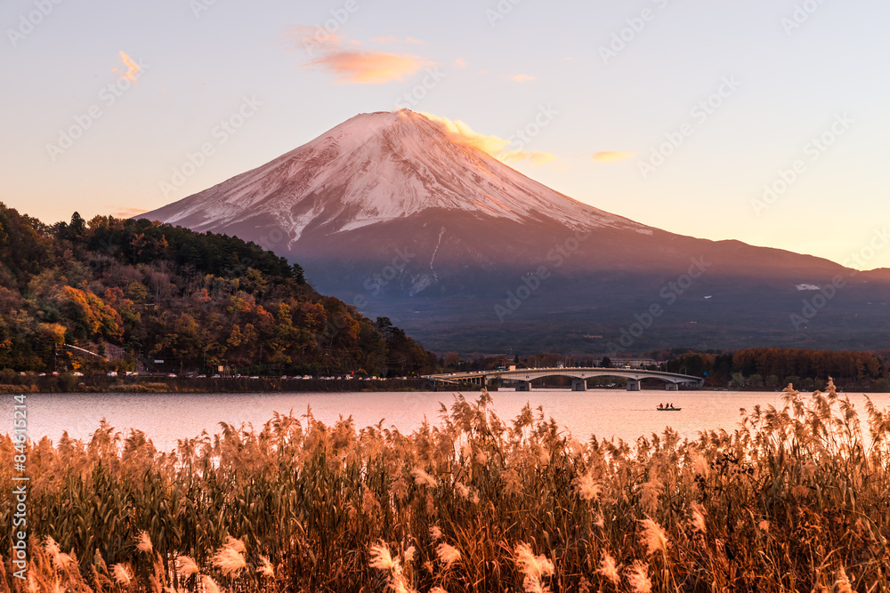 Obraz premium Mount Fuji, Japan.