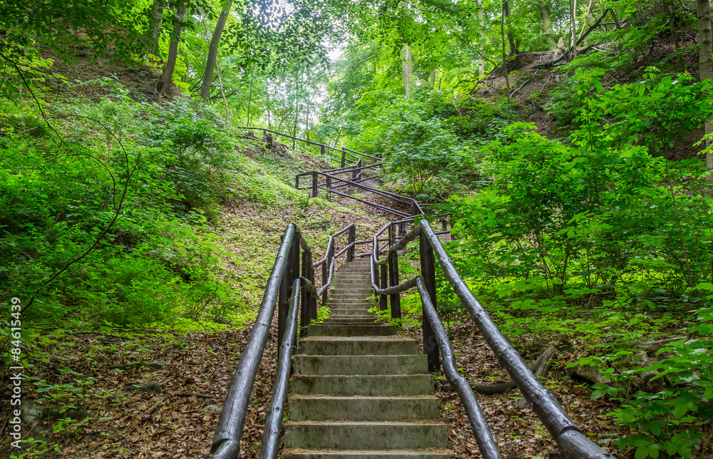Stairs in the woods/Tourist trail in the middle of mountains Stairs in the woods/Tourist trail in the middle of mountains