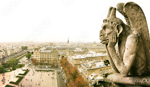 View of Paris and Chimera on Notre Dame, France  © Javen