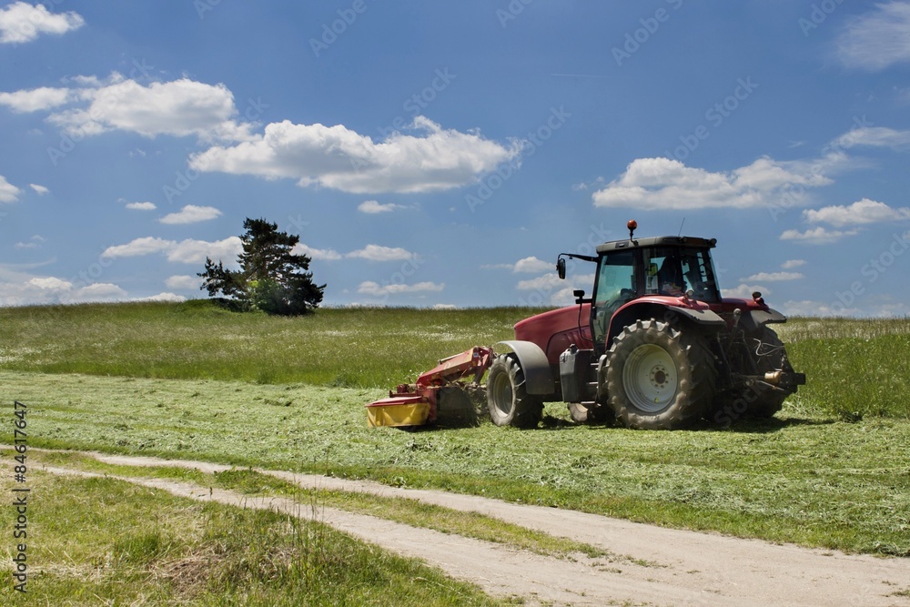 Obraz premium Summer day, red tractor mows the lawn for animal feed on the farm.