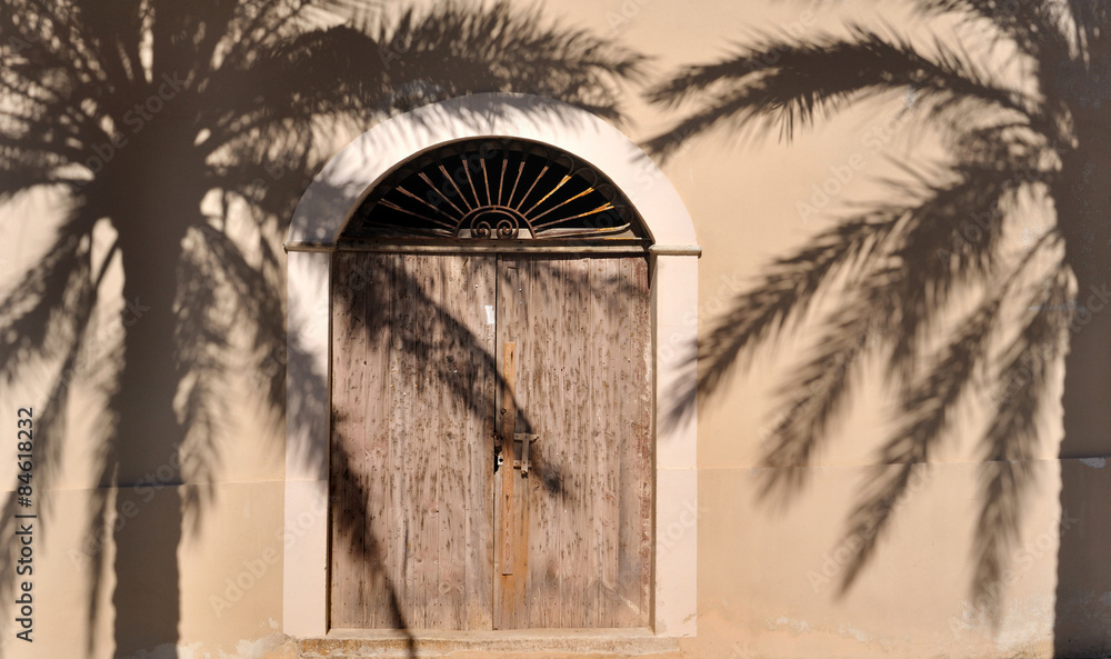 Fototapeta premium ombre de palmiers sur façade d'une maison 