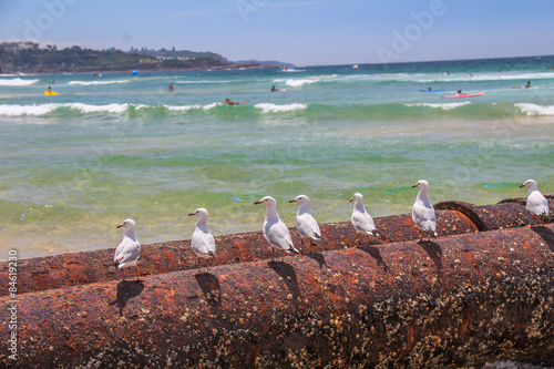 Canvas Print Manly Beach in Sydney Australia