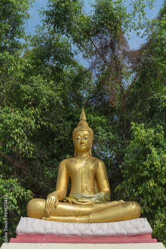 the sitting gold buddha statue  with the tree background photo